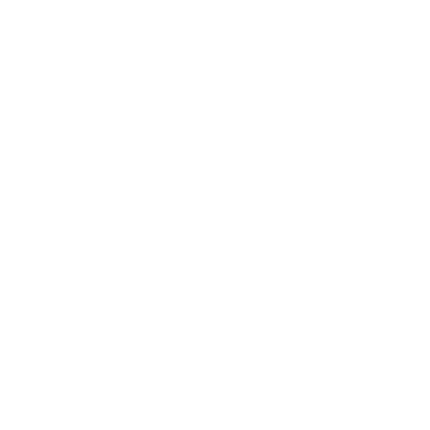 Logo vom Drachselsrieder Schlossbräu